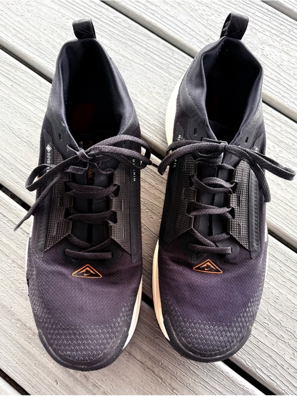 Nike Gore-Tex Pegasus Trail 5 Black Men's Sneakers -